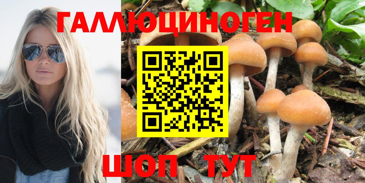 Псилоцибиновые грибы Magic Shrooms Гурьевск