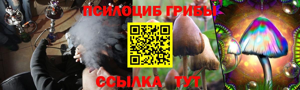Псилоцибиновые грибы прущие грибы  Псилоцибиновые грибы GOLDEN TEACHER  Вход с VPN  Гурьевск 